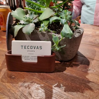 Tecovas - A potted succulent plant with various green leaves is placed on a wooden table. The plant is in a textured concrete pot, and a Tecovas business card is positioned in a small wooden holder in front of the pot. The background includes blurred objects and a person wearing a pink and light blue shirt. The scene appears to be indoors, possibly in a retail or casual setting. - Leather Goods Near Me - Austin, Texas