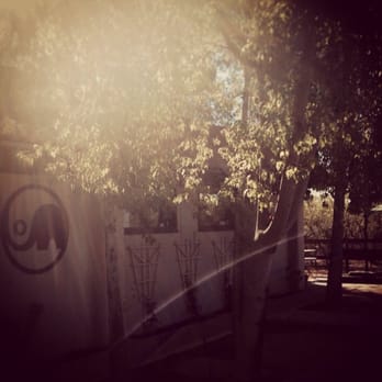 Yogalution Studio - Yoga Near Me - Scottsdale, Arizona Yogalution Studio - Yoga Near Me - Scottsdale, Arizona