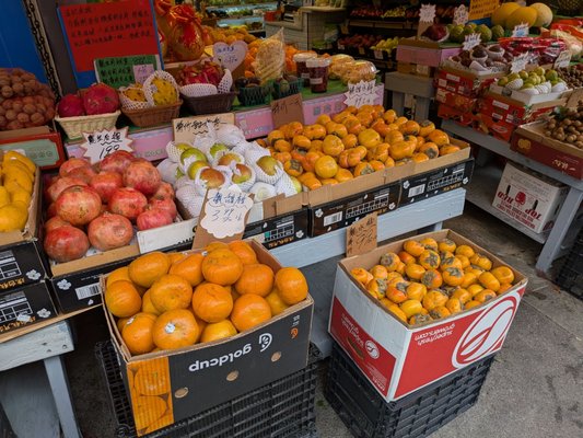 Fruitful Dreams by null