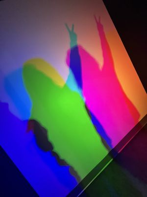 Museum of Illusions Chicago by null