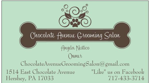 chocolate avenue grooming salon