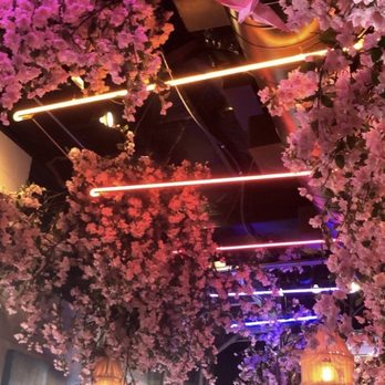 Lucky Robot Restaurant - Sushi Bars Near Me - Austin, Texas Lucky Robot Restaurant - Sushi Bars Near Me - Austin, Texas
