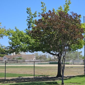 Peter D Gill Memorial Park - From the outfielders perspective - Parks Near Me - Milpitas, California