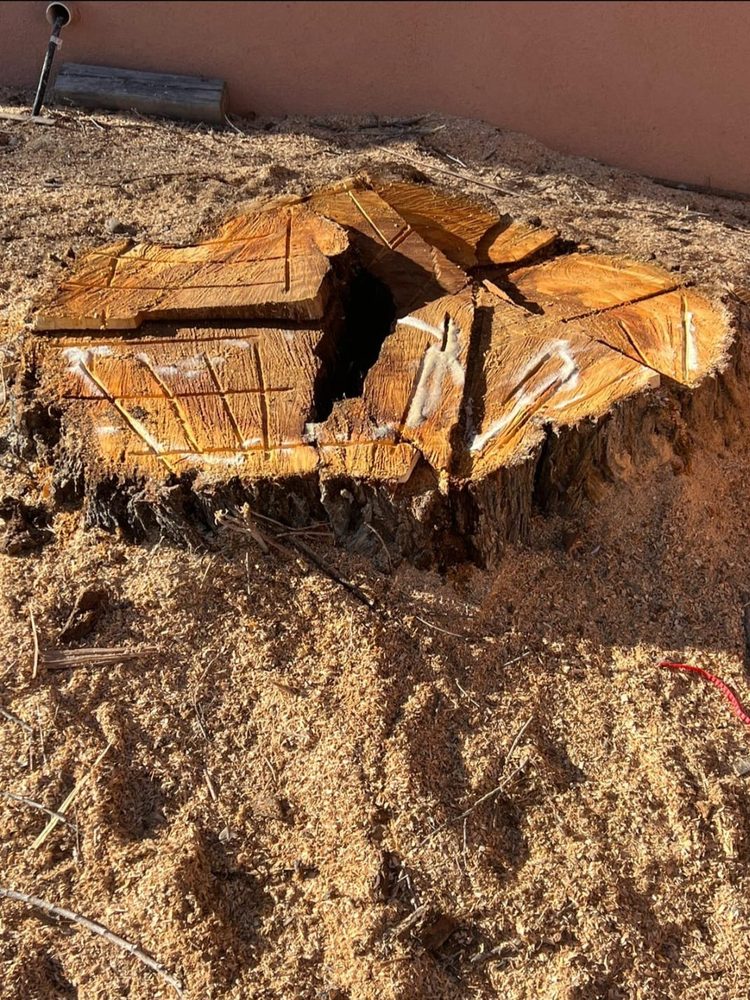 Carlos Landscaping - tree service in Santa Fe, NM