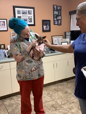 inland valley emergency pet hospital