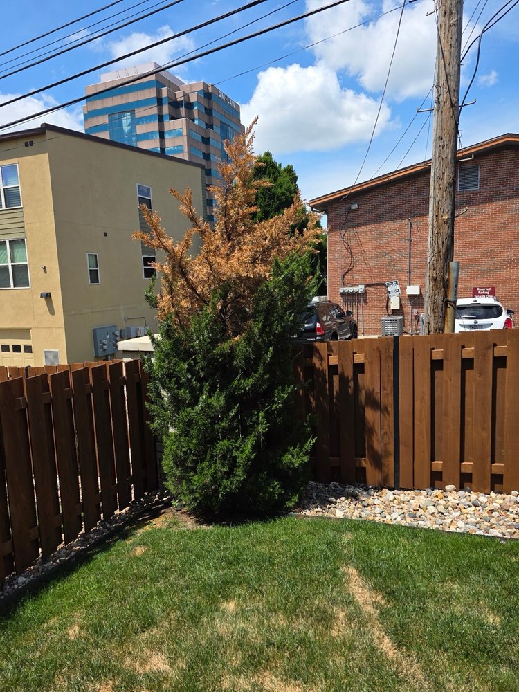 Affordable Tree Care - tree service in Kansas City, MO