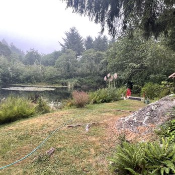 Azalea Glen - Azalea Glen RV Park, Trinidad, CA - August 2023 - Lilly Pond - Campgrounds Near Me - Trinidad, California