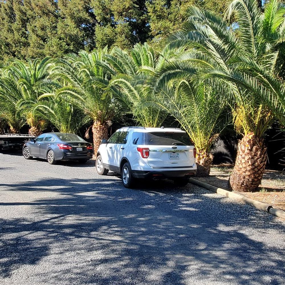 All Star Towing - Towing Near Me - Chico, California All Star Towing - Towing Near Me - Chico, California