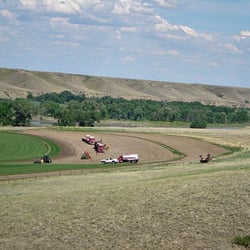 Bos Sod Farms
