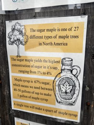 Sugarbush Farm by null