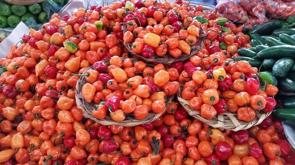 Central de Abastos de Oaxaca by null