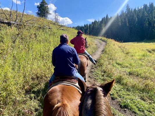 Jake's Horses Inc. by null