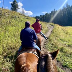 Jake's Horses - On the trail