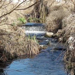 Louis Rubidoux Nature Center