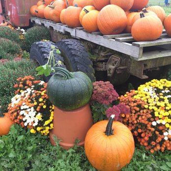 Bailey Family Farm - Pick Your Own Farms Near Me - Snohomish, Washington