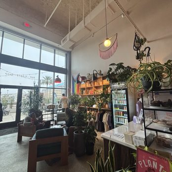 The Greenhouse Bar - Coffee & Tea Near Me - Jacksonville, Florida The Greenhouse Bar - Coffee & Tea Near Me - Jacksonville, Florida