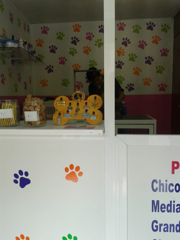 HAPPY PUPPY Camino A San Mateo Nopala 60, Naucalpan de Juárez, México