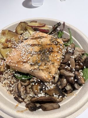 Protein Bar & Kitchen by null