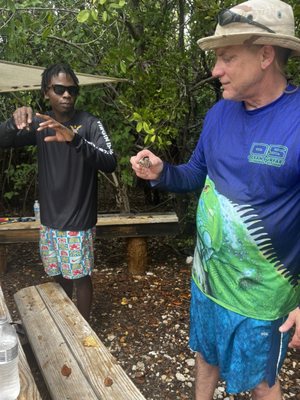 Virgin Islands Ecotours - St. Thomas by null