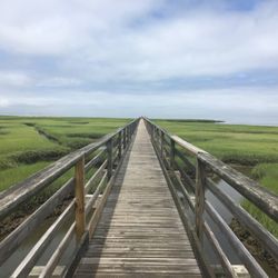 Susan Hagerich, LISW, ASS - "A journey of a thousand miles must begin with a single step." ~ Lao Tzu.