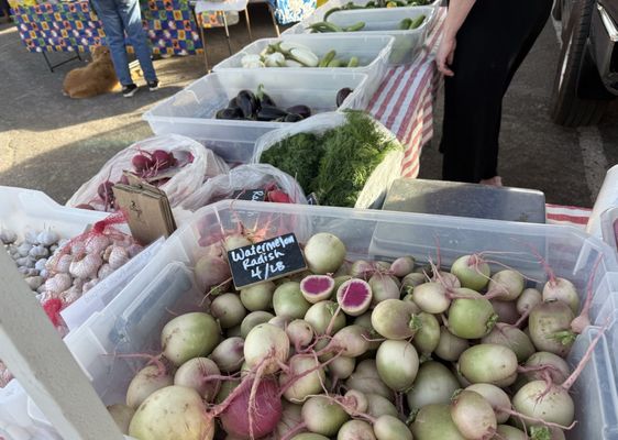 Los Ranchos Growers' Market by null