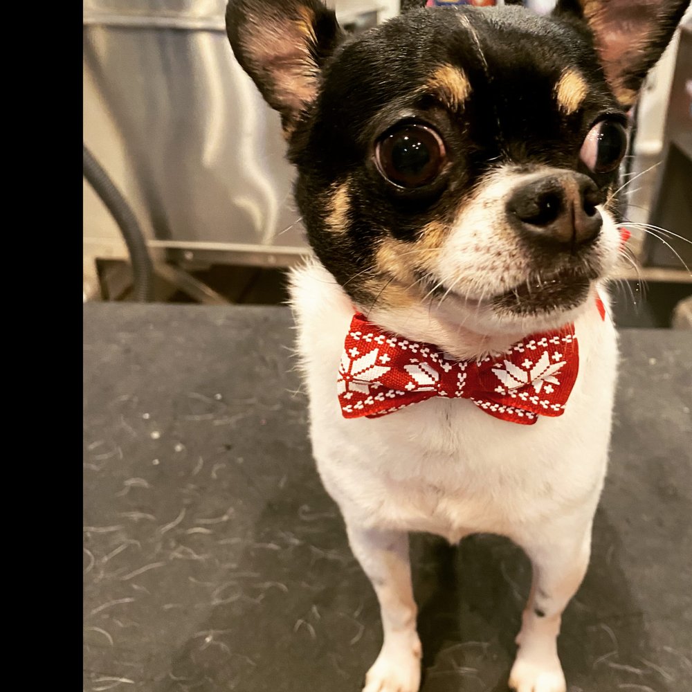 o Jupiter Florida Real Estate For Sale