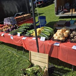 Stoney Acre Country Market