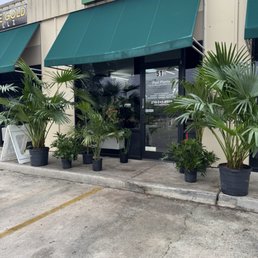 Exterior photo of Paul Plants - San Antonio, Texas Exterior photo of Paul Plants - San Antonio, Texas
