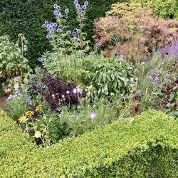 Rockingham Castle - Rockingham Castle gardens