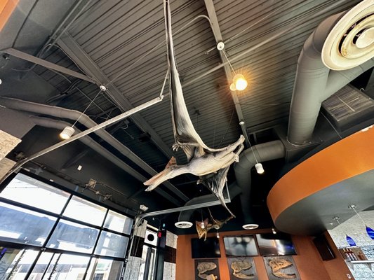Pangaea Dinosaur Grill by null