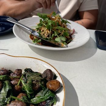 Taste on Main - Sautéed mushrooms, short ribs - Seafood Near Me - Buda, Texas Taste on Main - Sautéed mushrooms, short ribs - Seafood Near Me - Buda, Texas