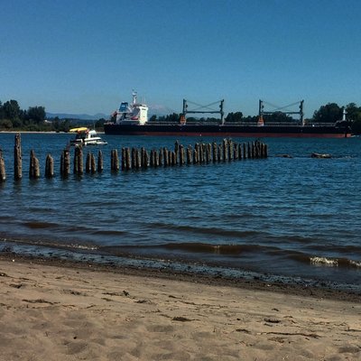 Collins Beach (clothing optional) by null