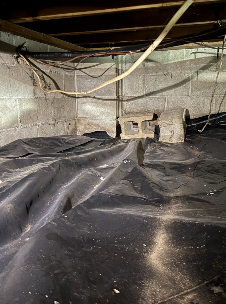 Clean Worx Environmental - mold inspector in Indianapolis, IN