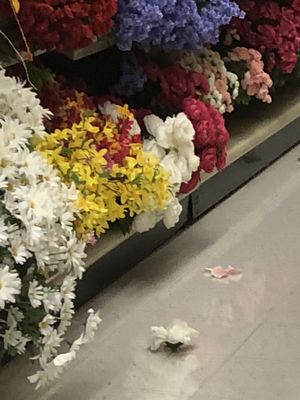 Hobby Lobby by null