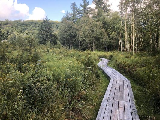 Mountain Top Arboretum by null