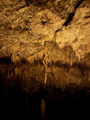 Timpanogos Cave National Monument by null