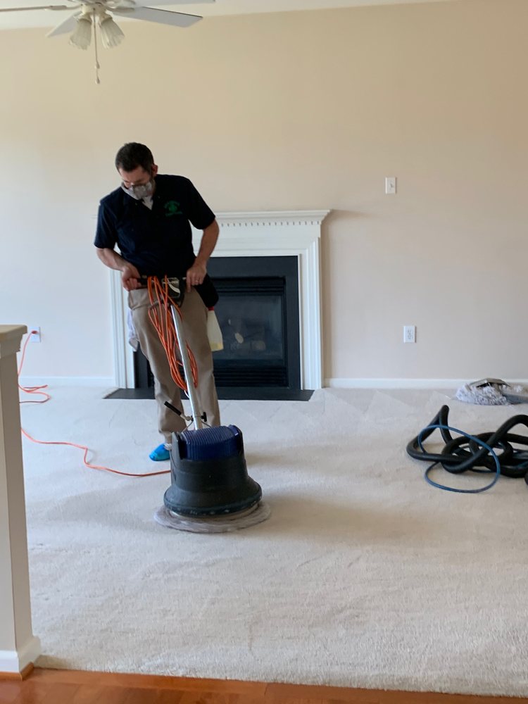 SHAMROCK CARPET & UPHOLSTERY CLEANING Updated July 2024 14 Photos