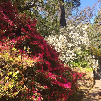 Everglades Gardens - Parks Near Me - Leura, NSW