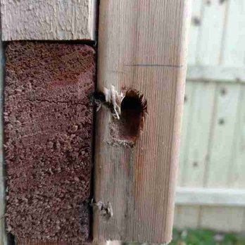 Albaugh & Sons - Fences & Gates Near Me - Keymar, Maryland