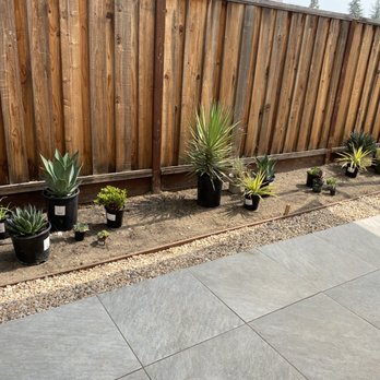 Exotic Landscaping Pros - Landscaping Near Me - Sacramento, California Exotic Landscaping Pros - Landscaping Near Me - Sacramento, California