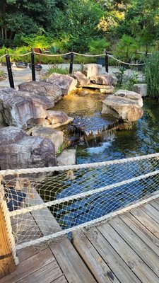 The State Botanical Garden of Georgia by null