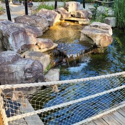 State Botanical Garden of Georgia - Water feature and shaky bridge.
