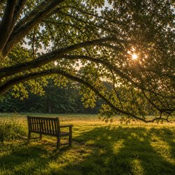 Mariah Maury Medium - Intuition and spirit are always accessible and present. I can be your spiritual interpreter and teach you to do yourself.