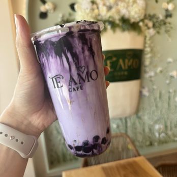 Te' Amo Cafe - Cafes Near Me - Overland Park, Kansas Te' Amo Cafe - Cafes Near Me - Overland Park, Kansas