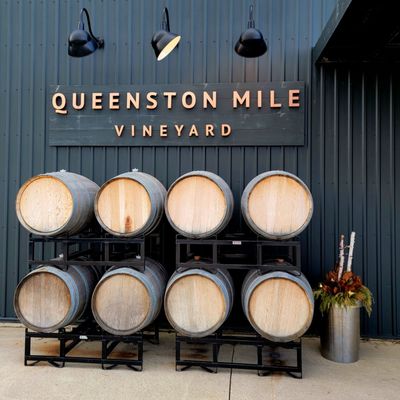 Queenston Mile Vineyard by null