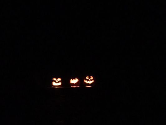 CLAS Ropes Course and Canoe Rental by null