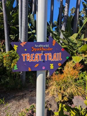 SeaWorld San Diego by null
