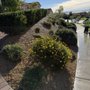 Photo of GLS Landscape and Maintenance 