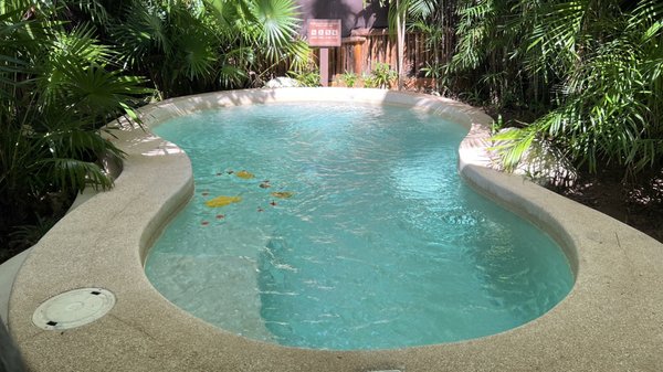 Viceroy Riviera Maya, a Luxury Villa Resort by null