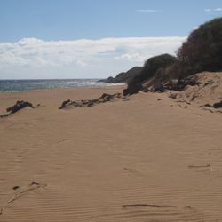 Polihua Beach
